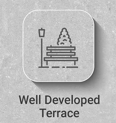 well_developed_terrace